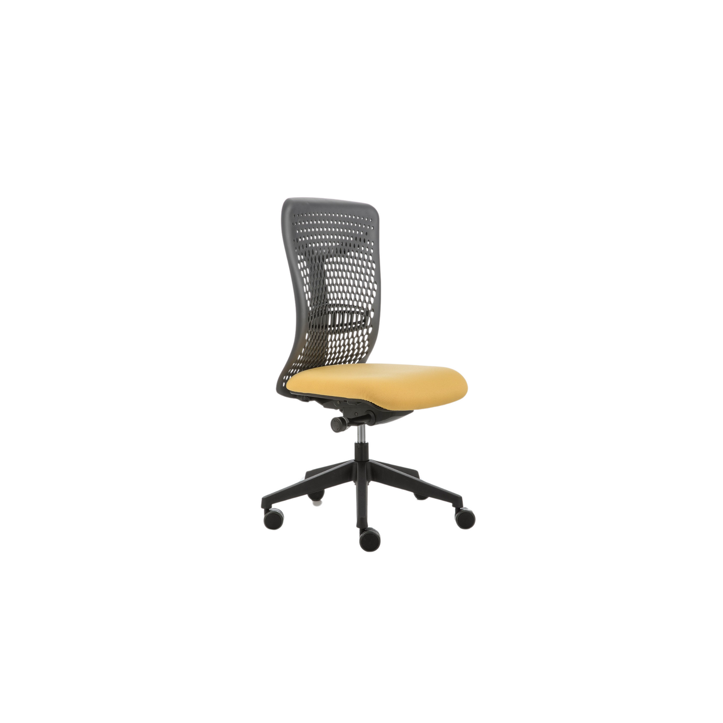 Smartback