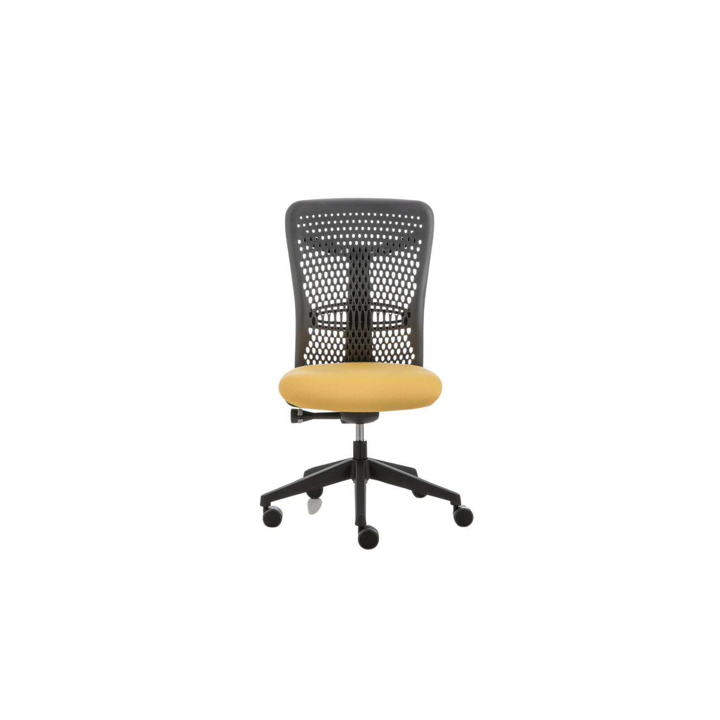 Smartback