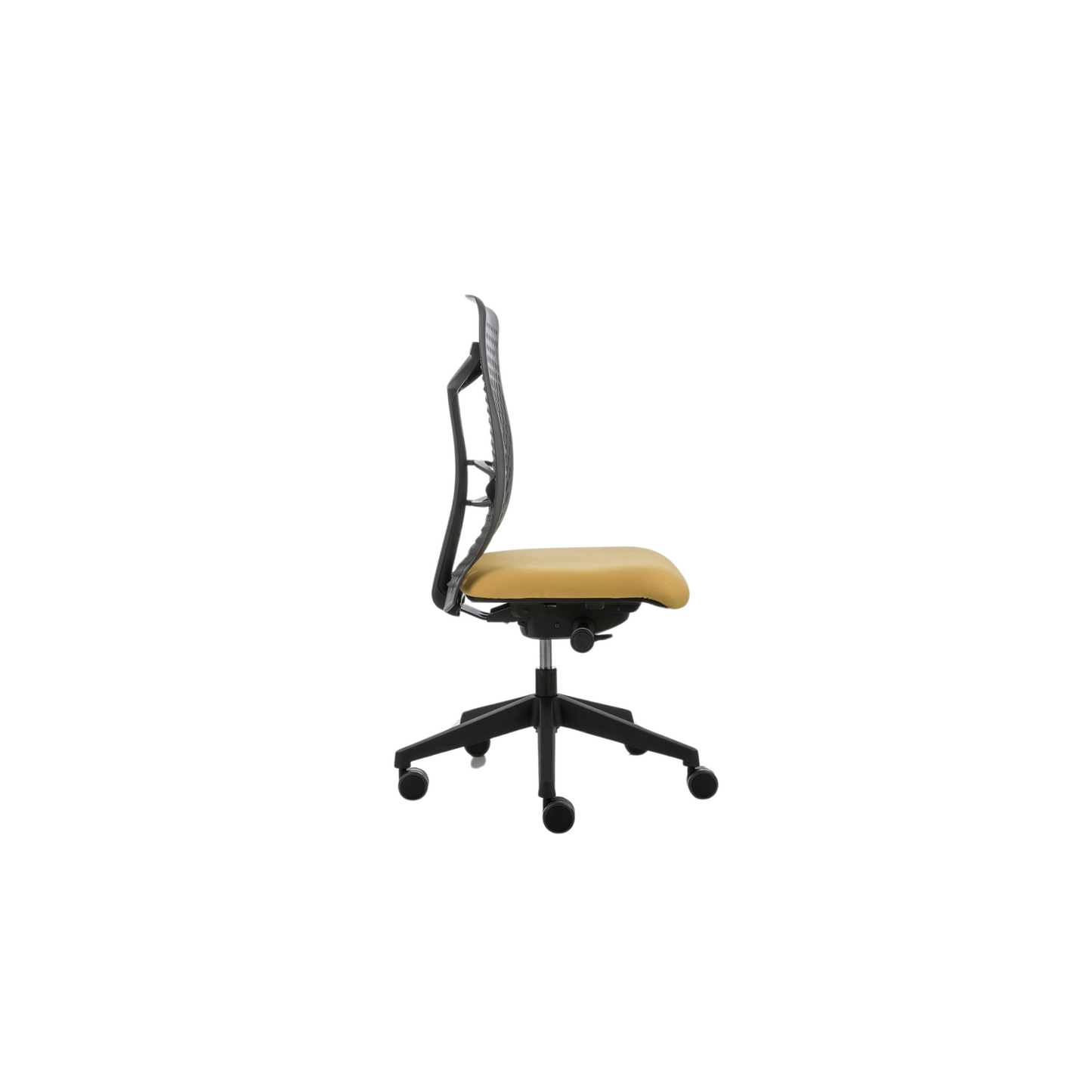 Smartback